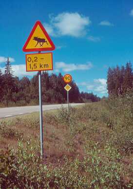 typische Landstrasse in Schweden