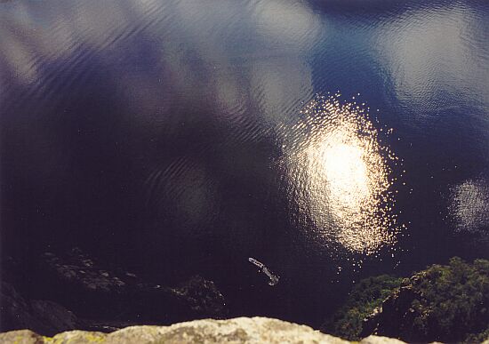 auf dem Preikestolen