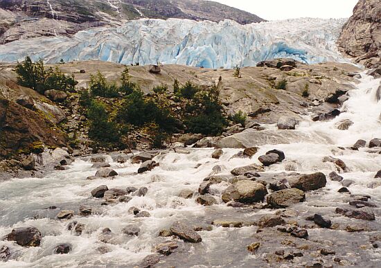 Nigardsbreen