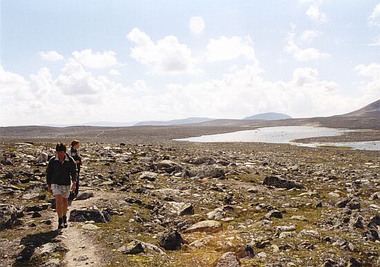 Dovrefjell