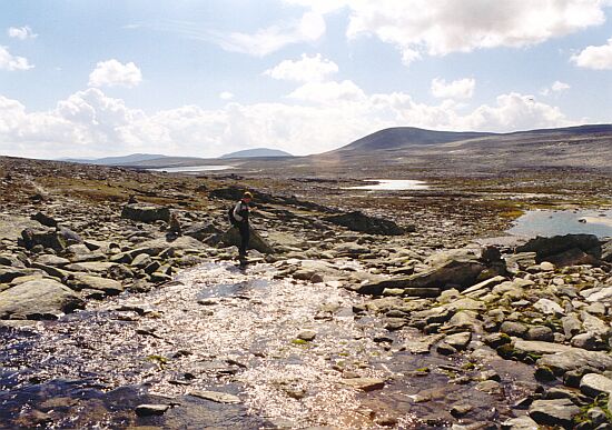 Dovrefjell