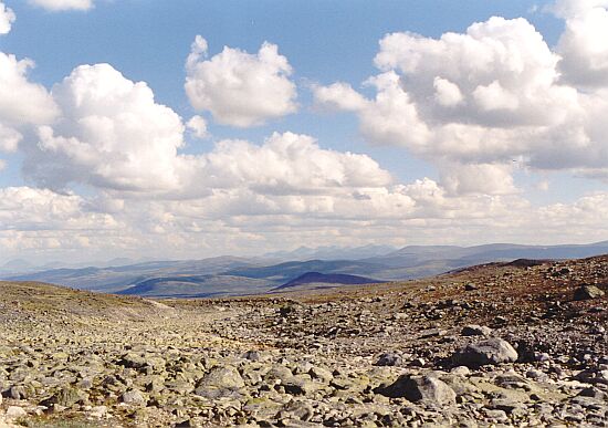 Dovrefjell