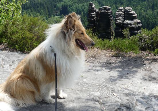 Kalle