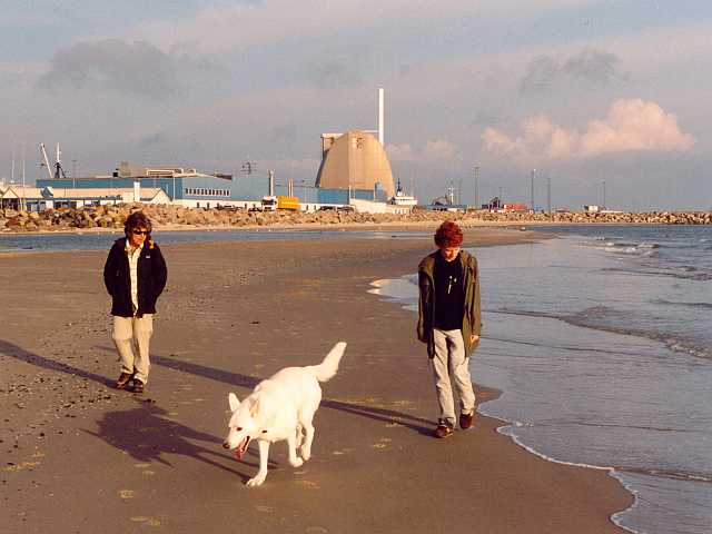 morgens in Hirtshals