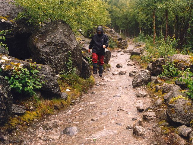 Rückweg vom Brikdalsbreen