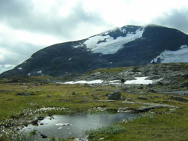 Sognefjell